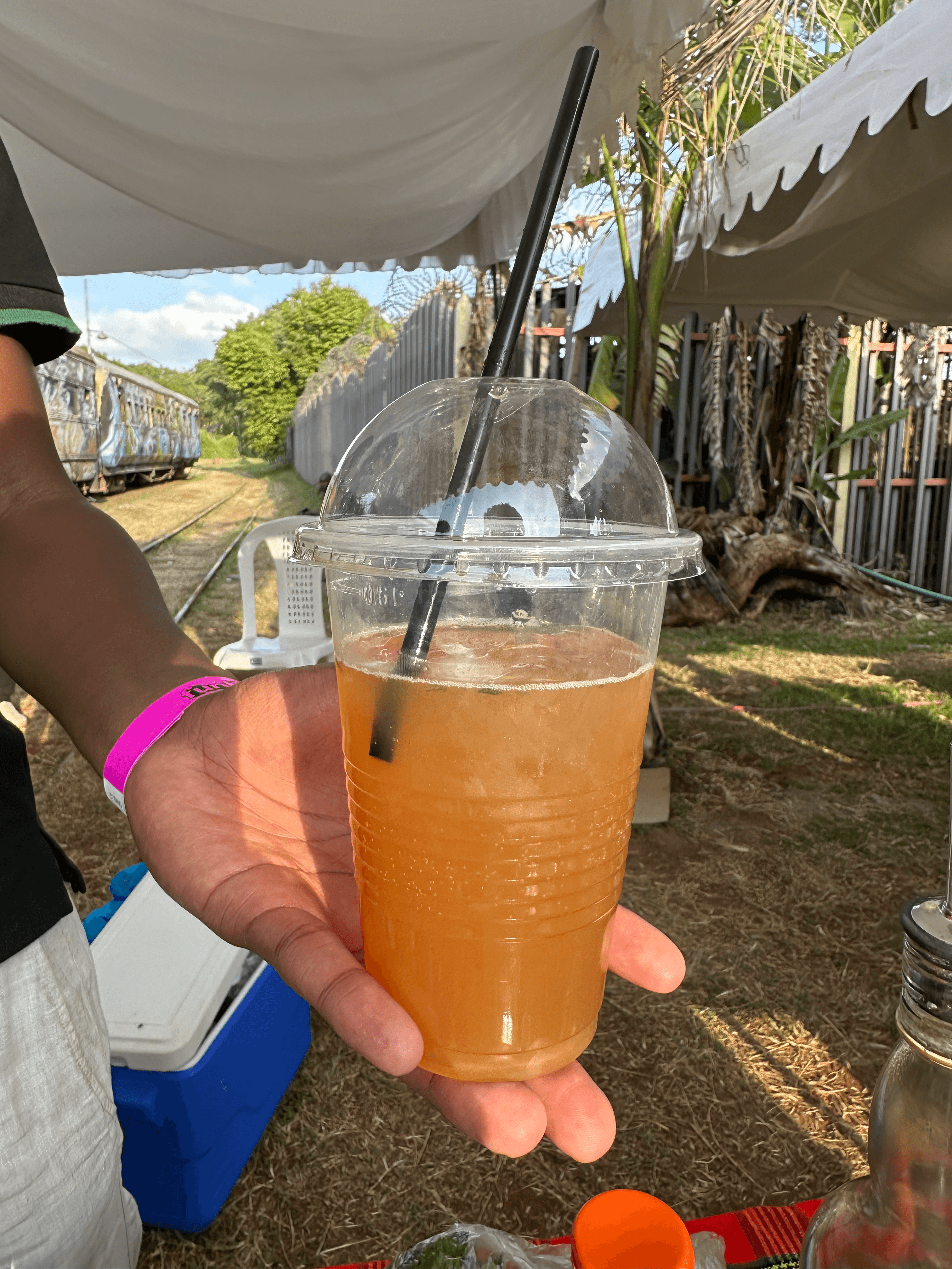 Artisanal Mixology